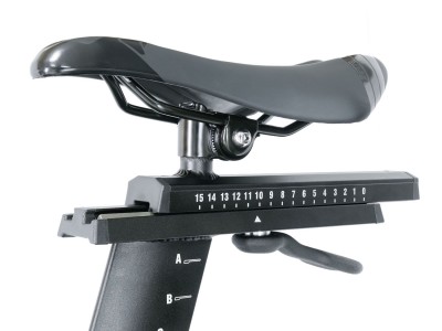 Saddle1